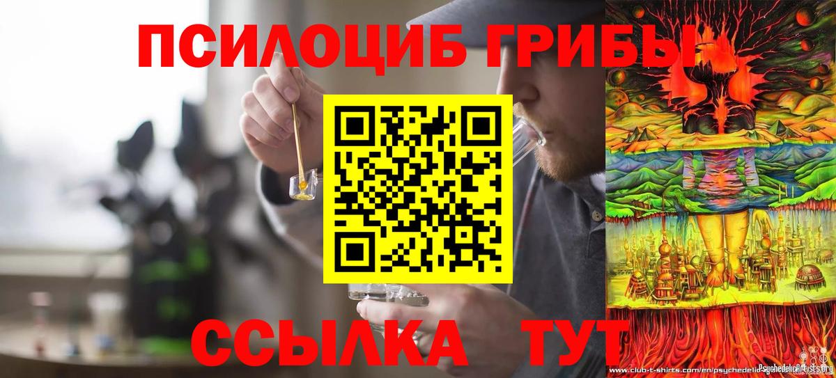 купить наркотики сайты  Вход с VPN  Дзержинск  Псилоцибиновые грибы MAGIC MUSHROOMS 
