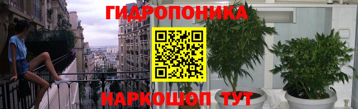 Бошки Шишки AK-47  Шишки марихуана тримм  Вход с VPN  Дзержинск  Бошки марихуана ГИДРОПОН  Бошки марихуана Bruce Banner 